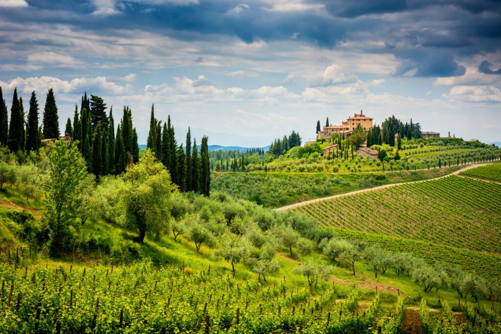 Chianti hills with vineyards and cypress. Tuscan Landscape between Siena and Florence. Italy