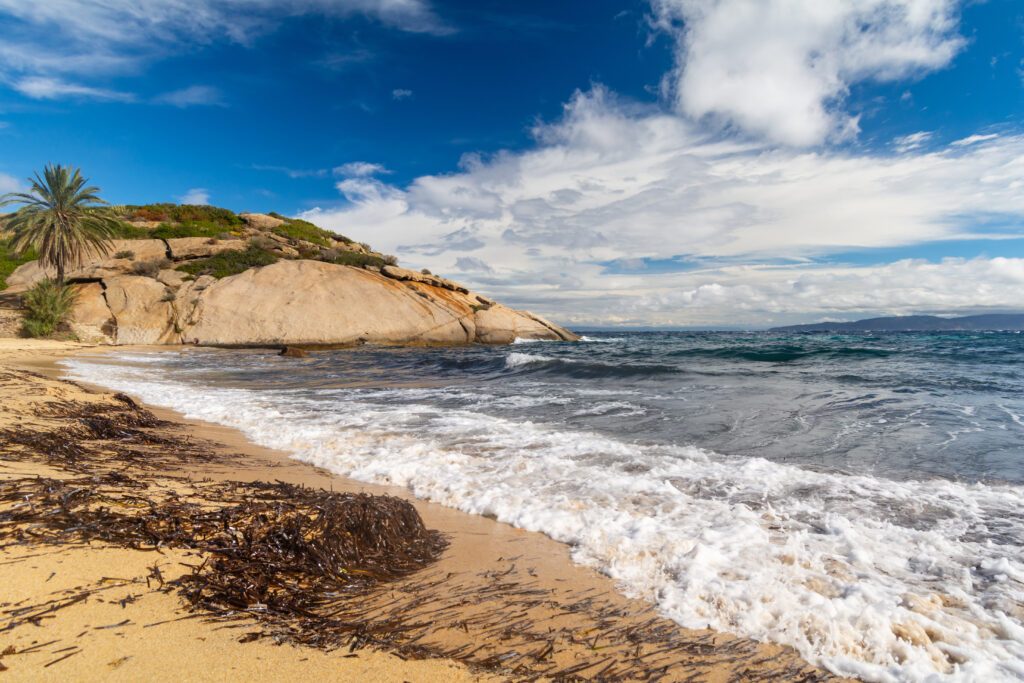 a mediterranean beach, giglio island