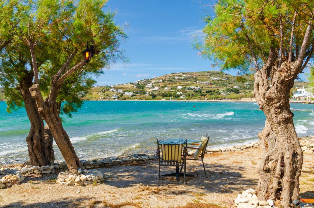 Romantic tavern among trees by the sea on Paros island, Cyclades, Greece. Europe.