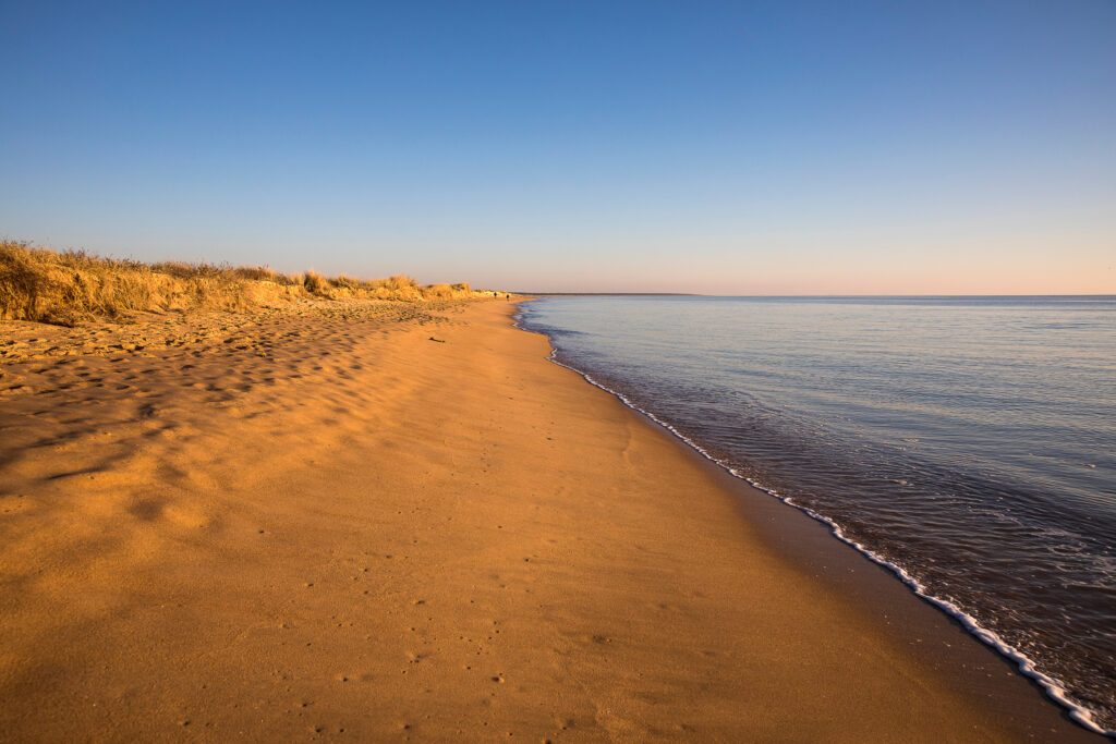 view on a beach at sunset with golden sand an quiet sea