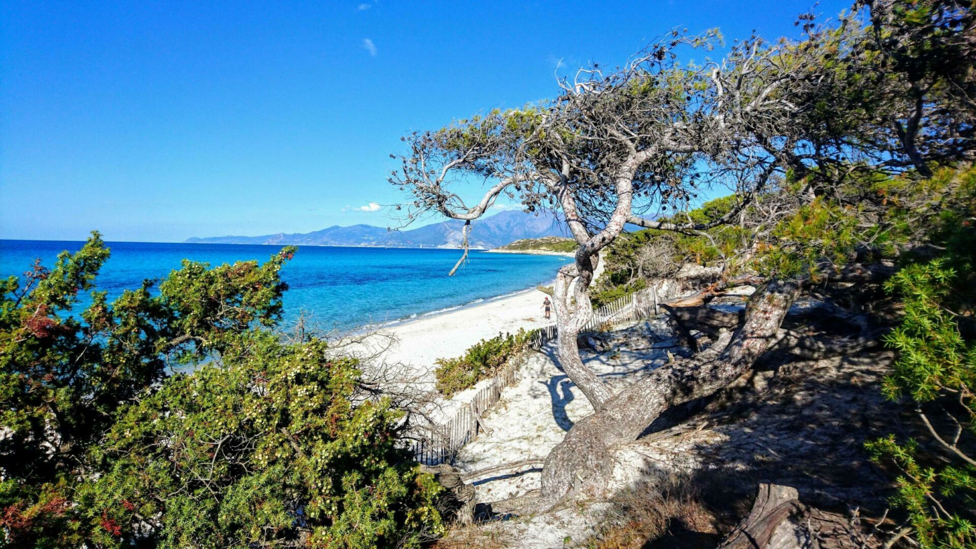 Que voir autour de Bastia