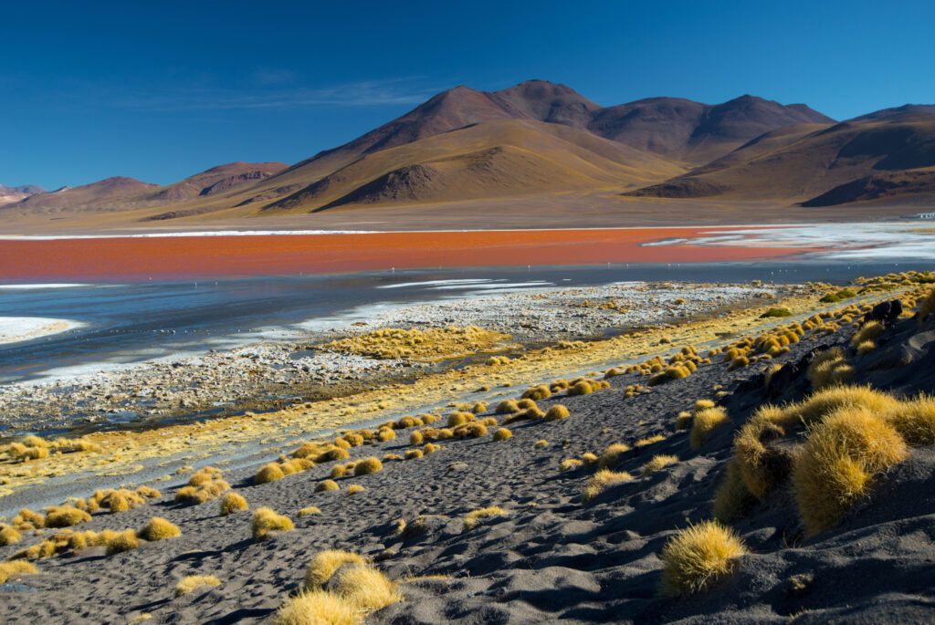View of Laguna Colorada landscape, Altiplano - Bolivia.