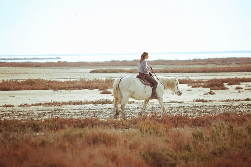 Balade en cheval en camargue, france