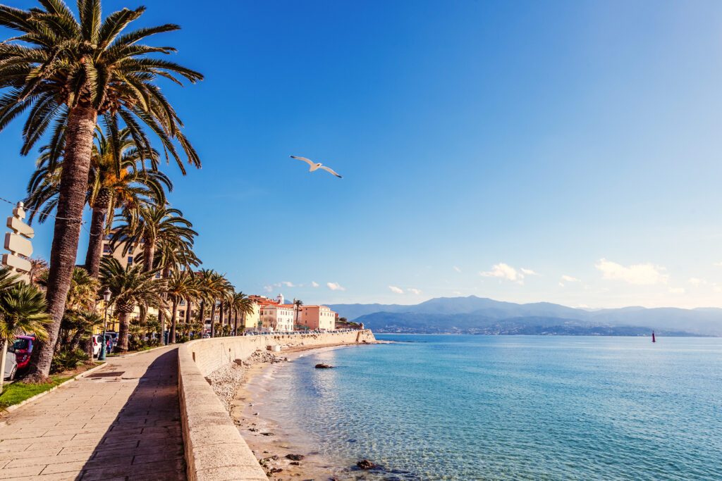 Beautiful cityscape, Ajaccio is the capital of Corsica. City on a background of snowy mountains and blue sky, White gull flying over the sea