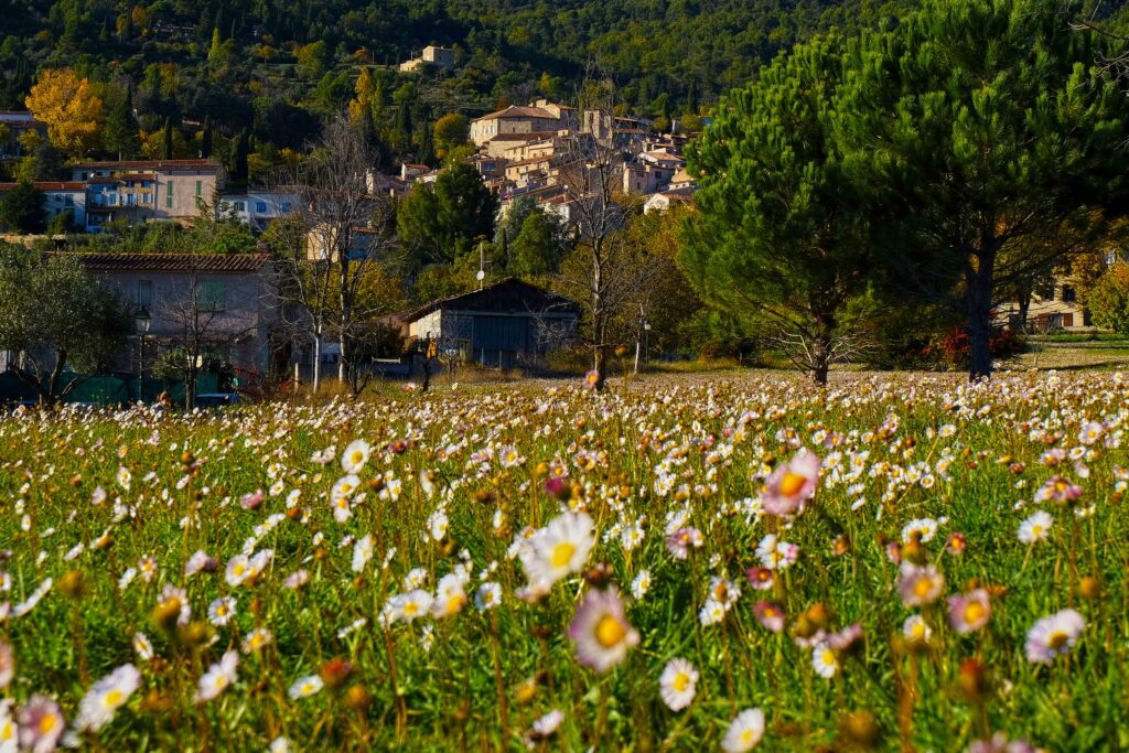 Seillans. Pays de Fayence. France.