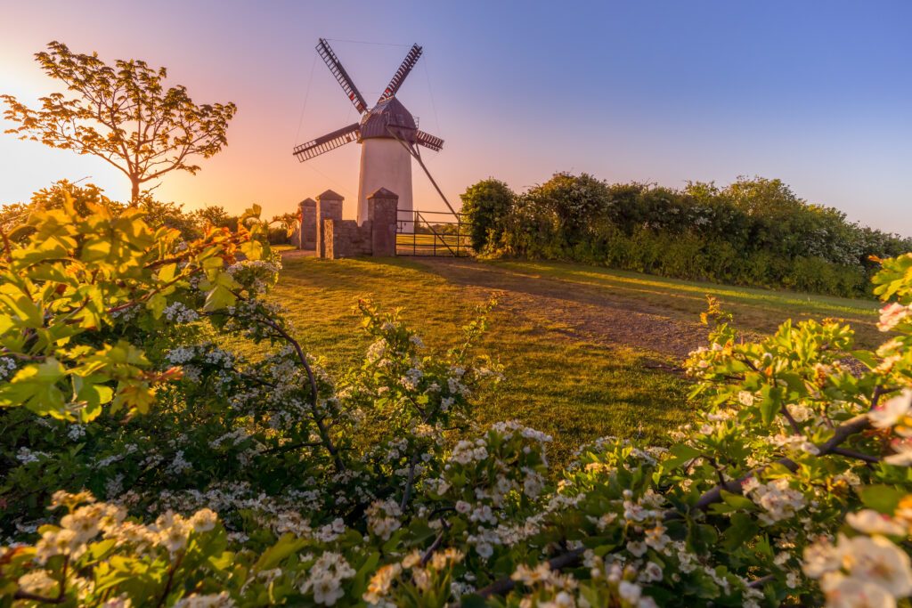 Traditional windmill at amazing sunrise with blooming flowers, Skerries, Ireland
