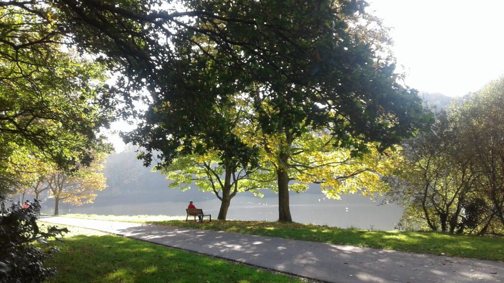 Le parc de la Penfeld à faire à Brest