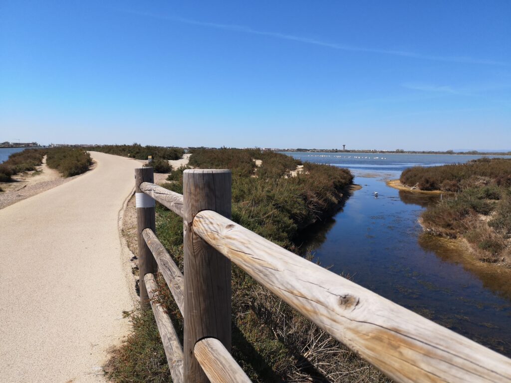 Balade en vélo sur piste cyclable entre Aigues Mortes et Grau du roi, Gard, occitanie , France