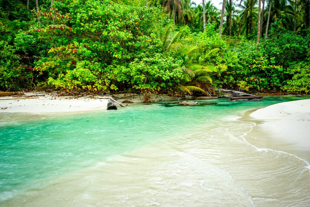 Plage paradisiaque du golfe de Thaïlande