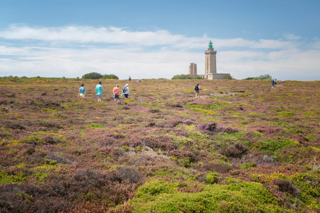 Randonnée au cap Frehel