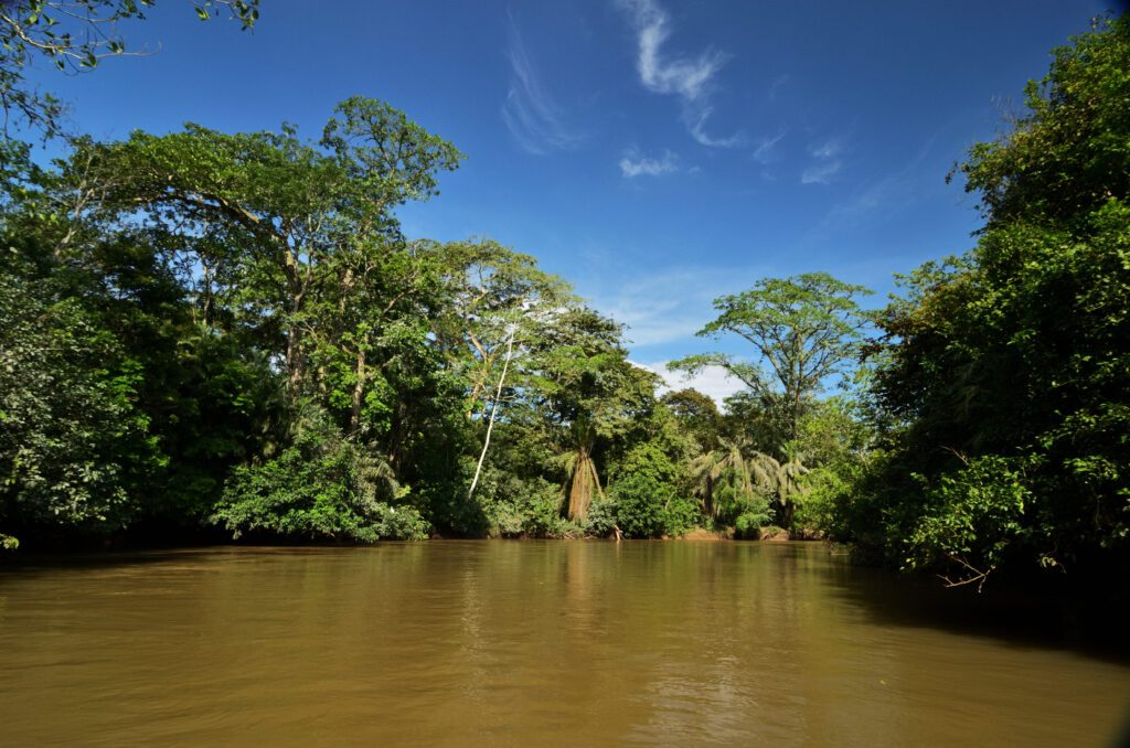 Caño Negro