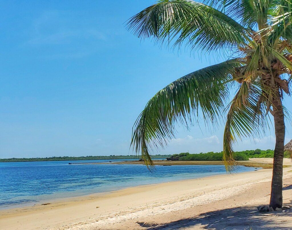 La plage de Jimbizi parmi les plages de Tanzanie