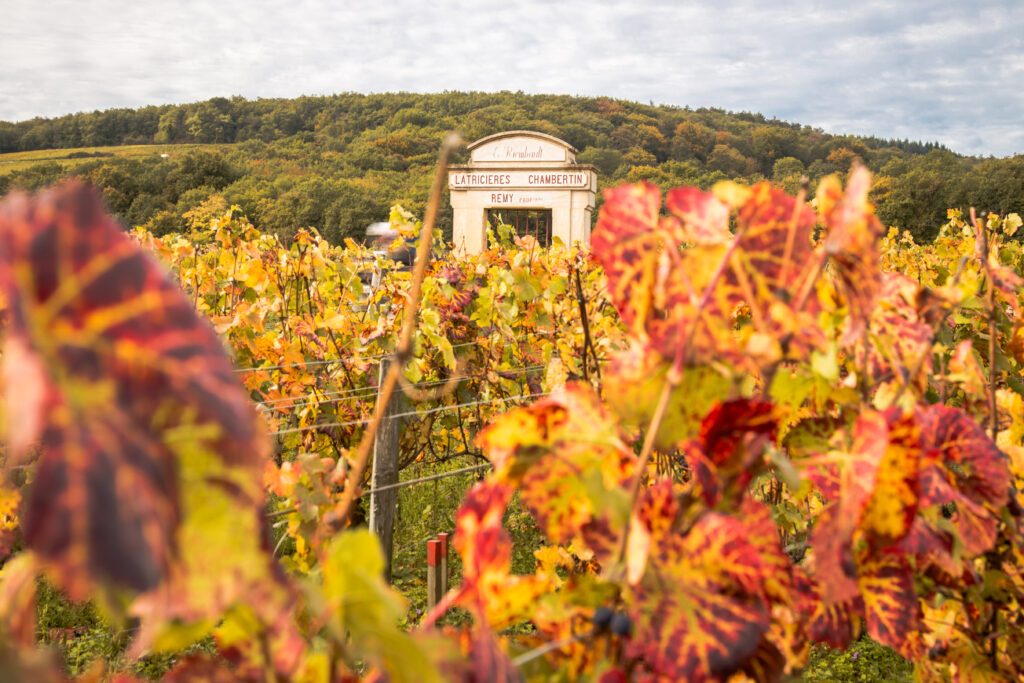 La Bourgogne à l'automne