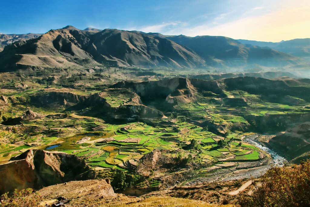 Stepped terraces in Colca Canyon in Peru