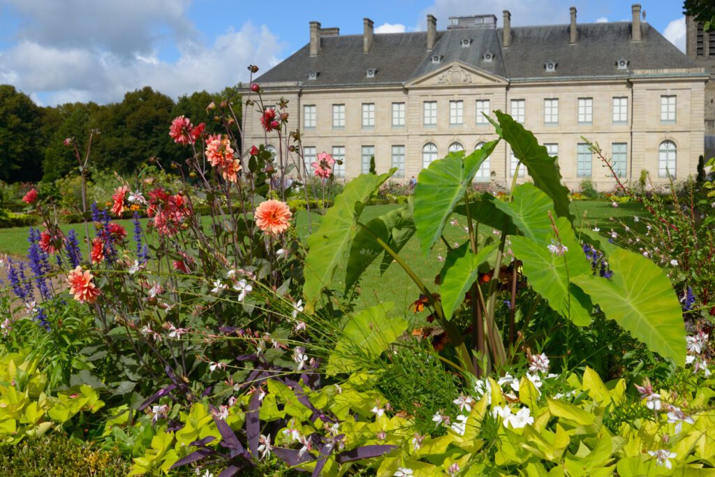 Flowers against the Fine Arts Museum of Limoges