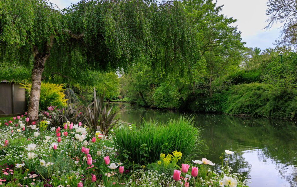 Eure river with colorful spring flowers in Chartres Eure-et-Loire in France