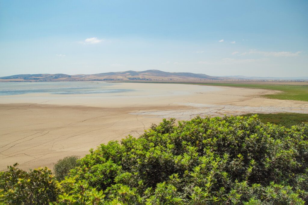 Beautiful view of lake and wetlands of Ichkeul National Park. Tunisia, near Bizerte. UNESCO World Heritage site