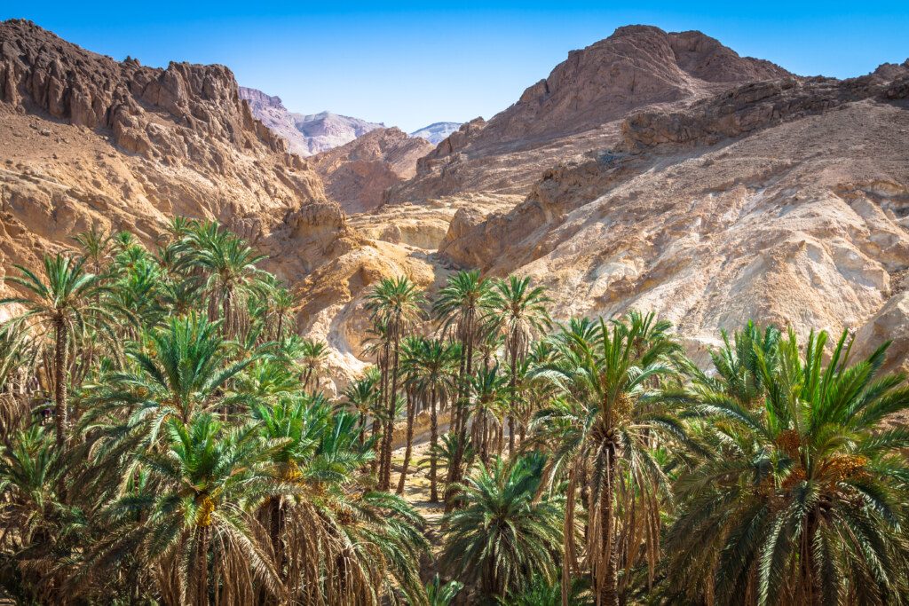 Mountain oasis Chebika at border of Sahara, Tunisia, Africa