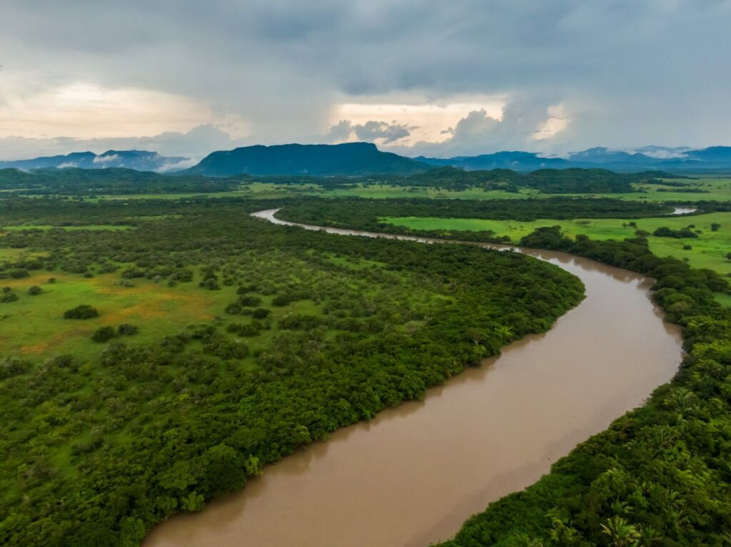 Le parc National de Palo Verde