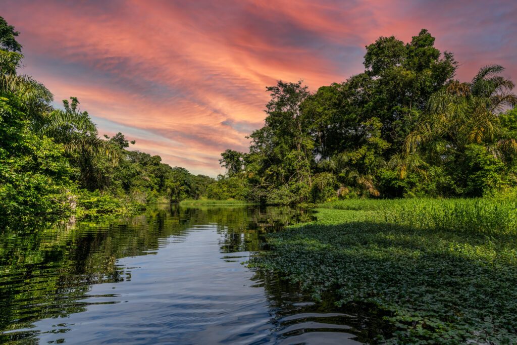 Le parc national de Tortuguero