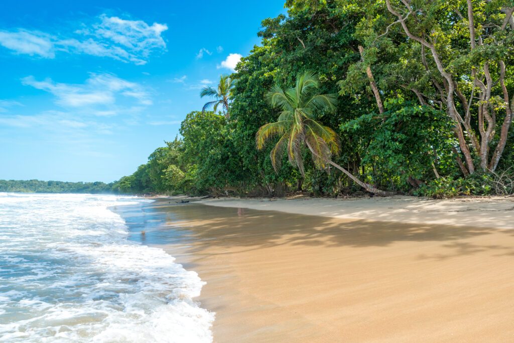 Plage de Cahuita