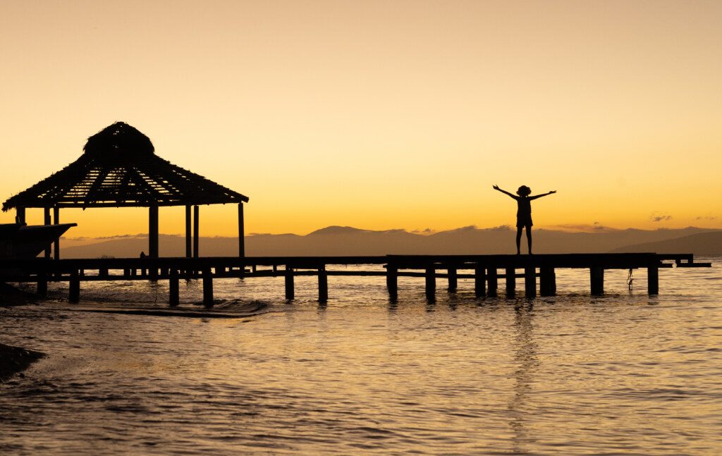 Silueta del muelle