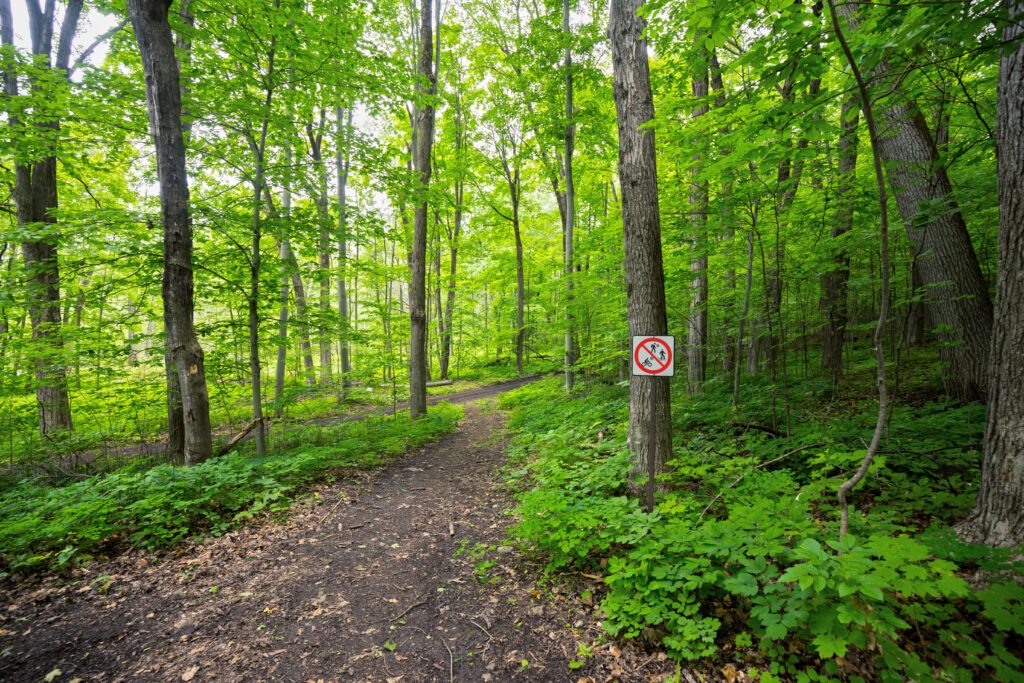 Oka National Park Quebec Canada