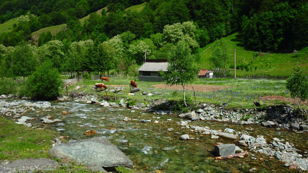 Les ruisseaux dans les paysages de Roumanie
