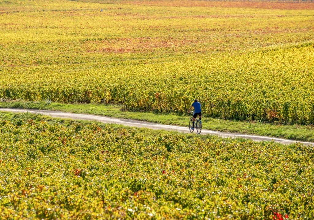 Faire du vélo en Bourgogne