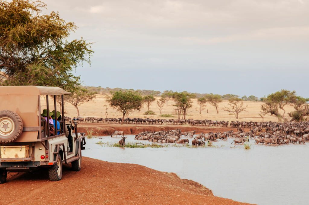 Faire un safari en Tanzanie