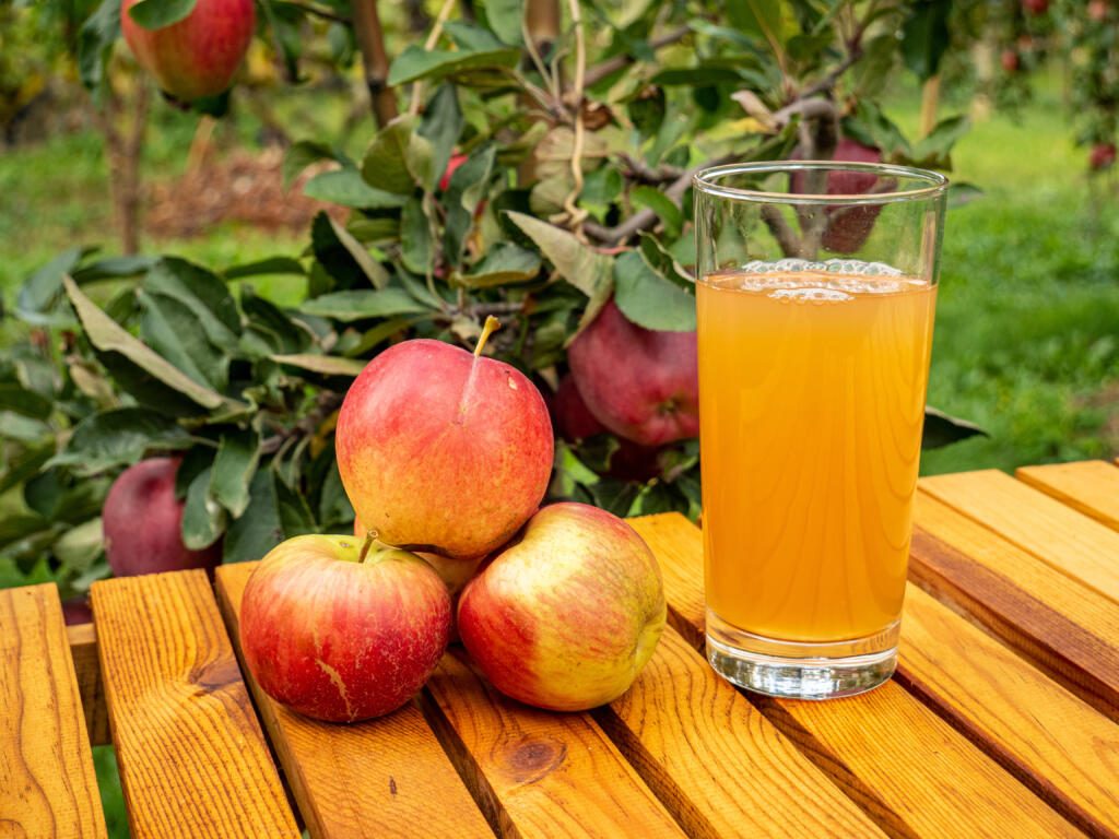 glass of apple juice and fruits