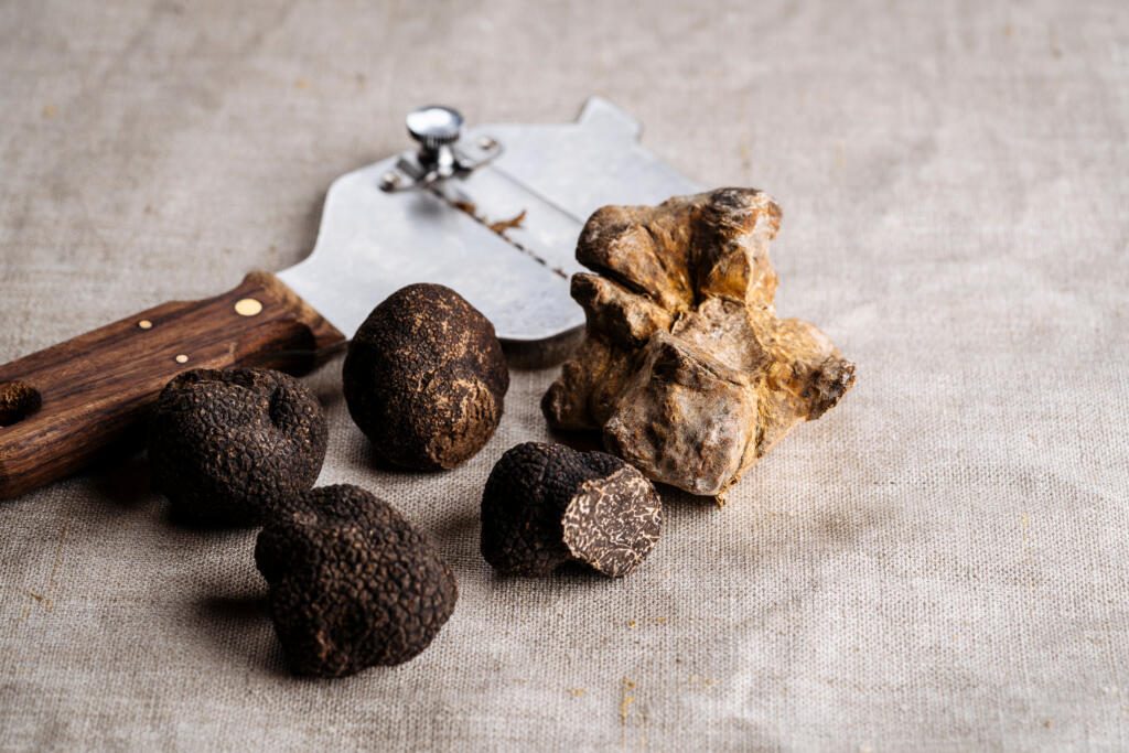 Fresh aromatic whole and partly sliced Summer, Black Truffle, White Truffle mushroom with shaver or slicer over rustic fabric cloth background. Expensive gourmet ingredient. Close Up. Warm earth tone.