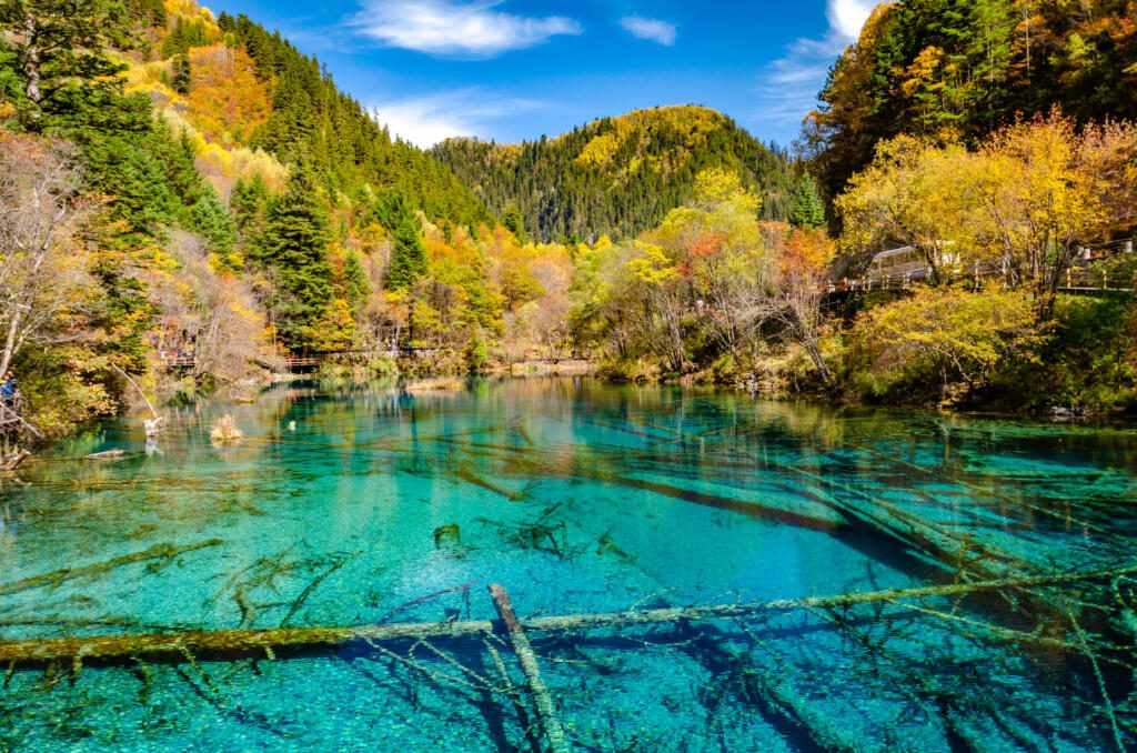 Beautiful multi-color pond at famous Jiuzhaigou National park in autumn, the world heritage site near Chengdu Chinal.