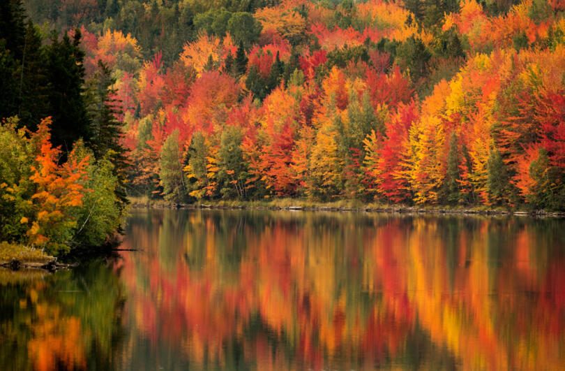 Les paysages d'automne