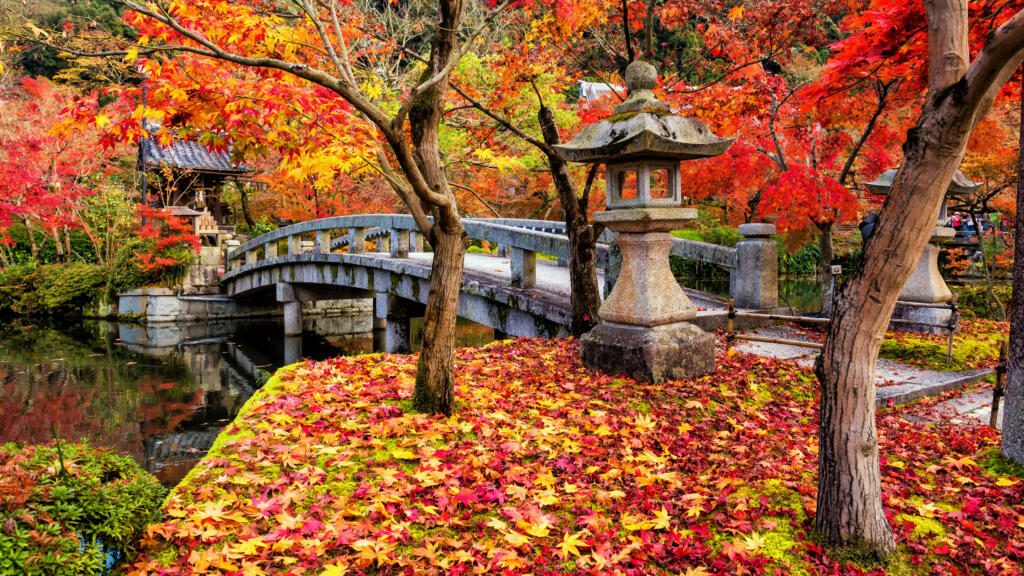 Eikando Zenrinji fall garden, Kyoto