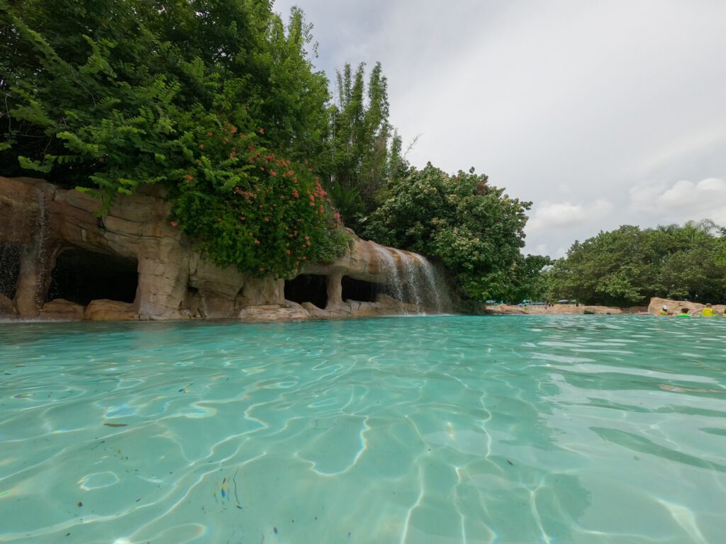 Discovery Cove à faire à Orlando