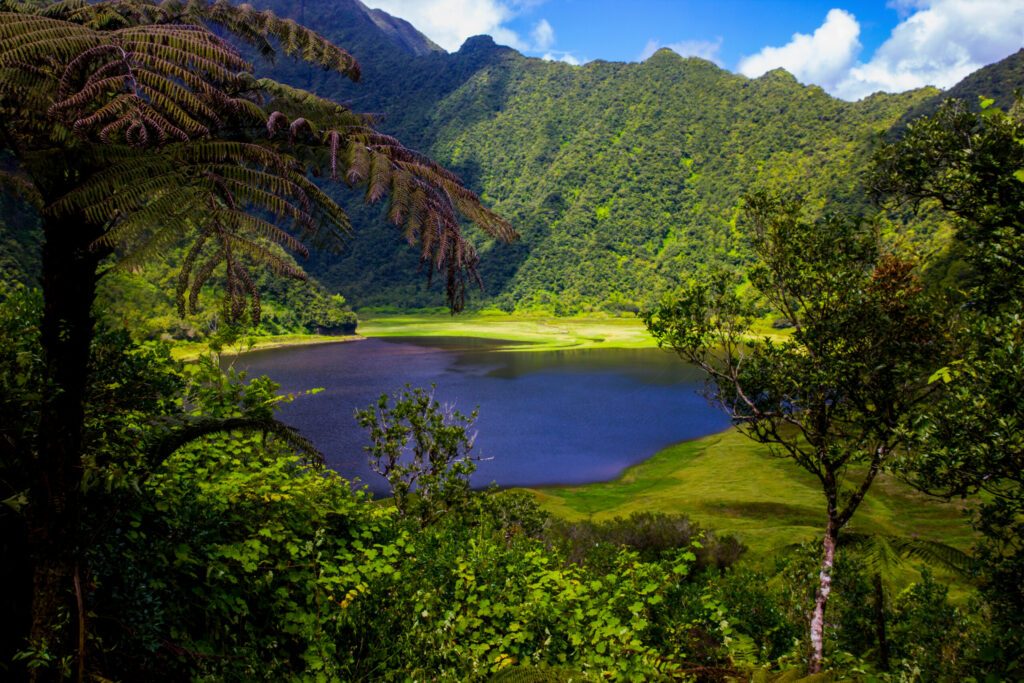 Grand Etang - Plaine des Palmistes - Ile de la Réunion
