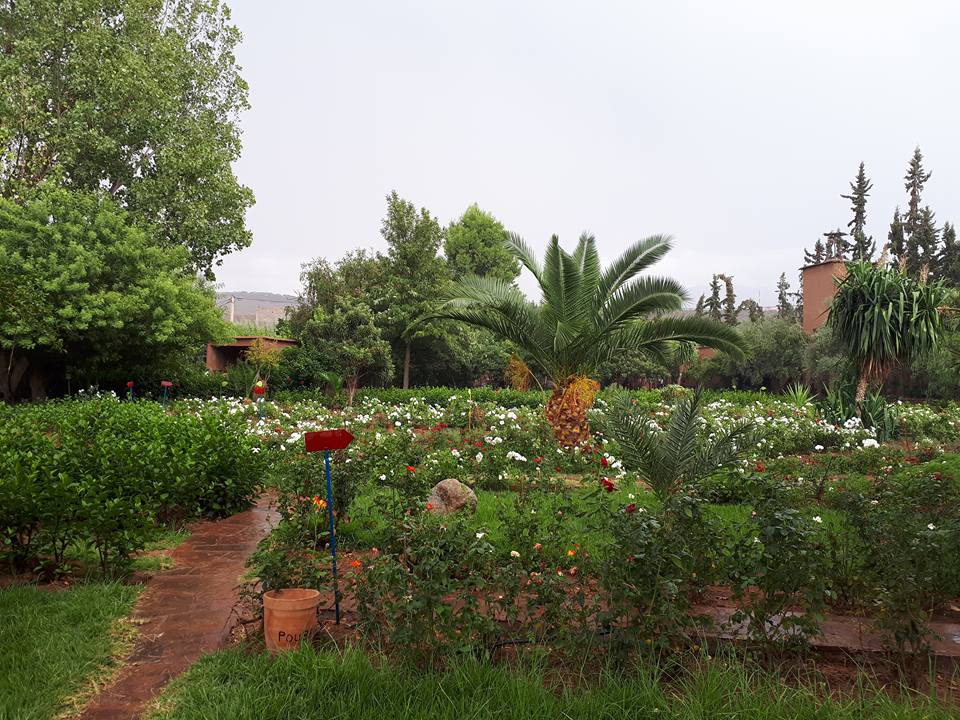 Le jardin bio aromatique autour de Marrakech