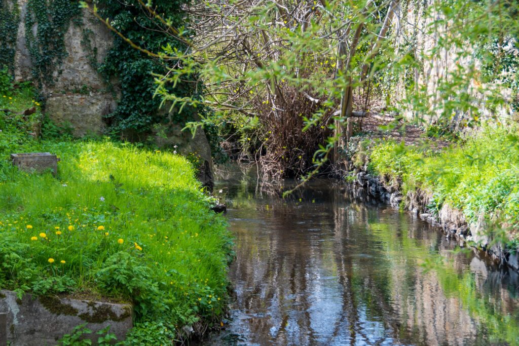 Le cours de la rivière Bièvre au niveau de la commune de Bièvres, dans le département de l'Essonne, France. La Bièvre, autrefois affluent de la Seine, se jette maintenant dans les égouts de Paris