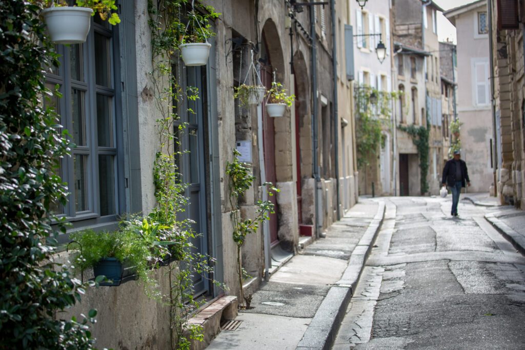 Vieille ruelle ville de Valence Drôme France avec plantes vertes aux murs en pierre avec personne