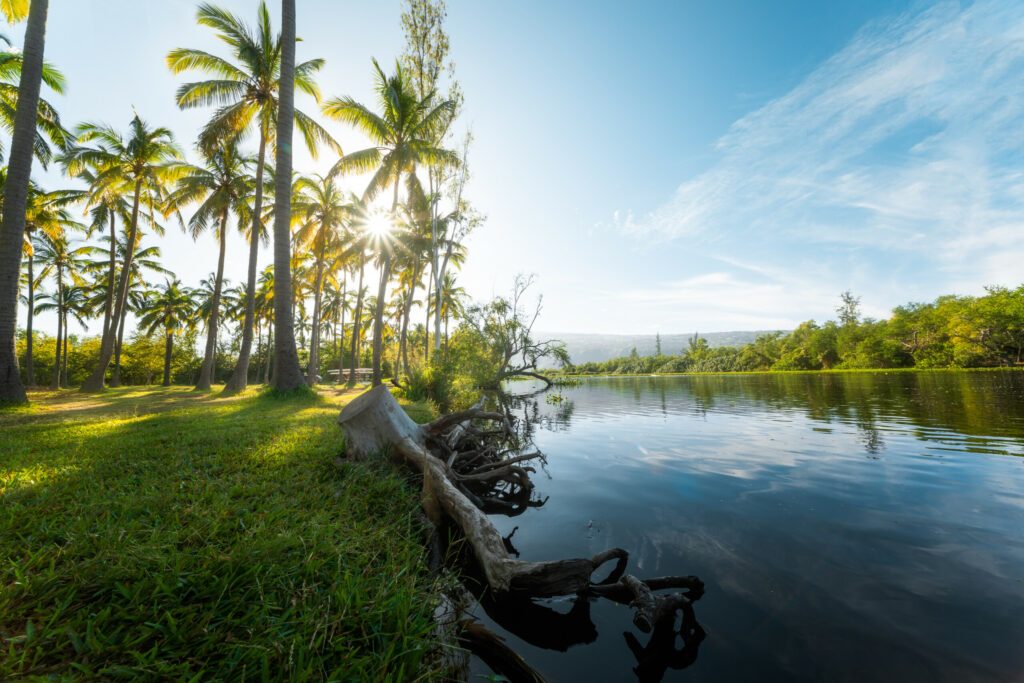 L'étang Saint-Paul dans les photos de la Réunion
