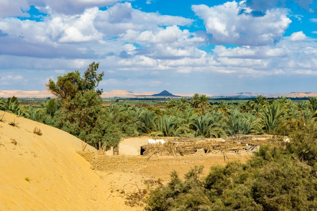 It's Bahariya Oasis, Egypt