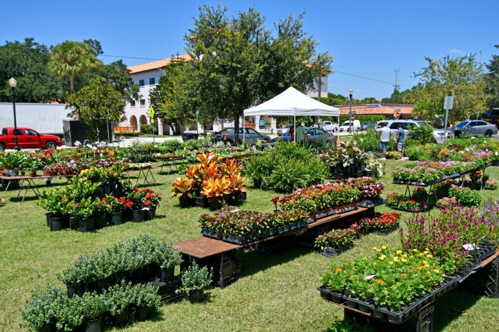 Plants for sale at the Winter Park farmers market located north of Orlando in Orange County, Florida.