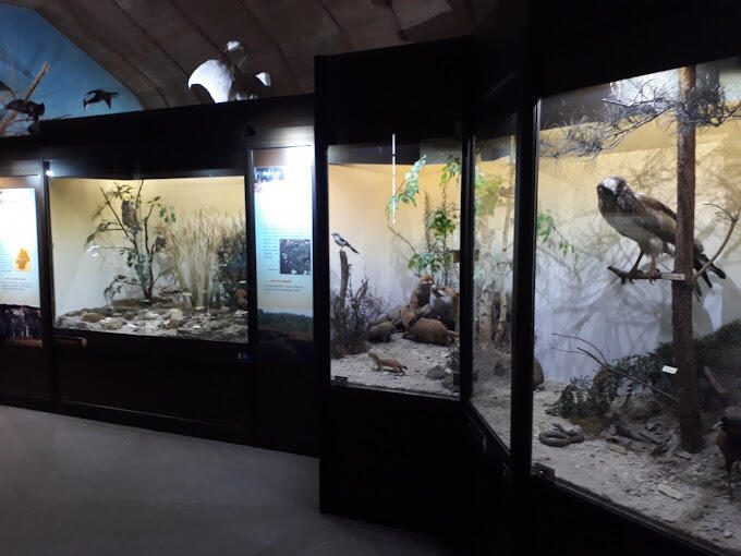 Le musée d'Histoire Naturelle à faire à Blois