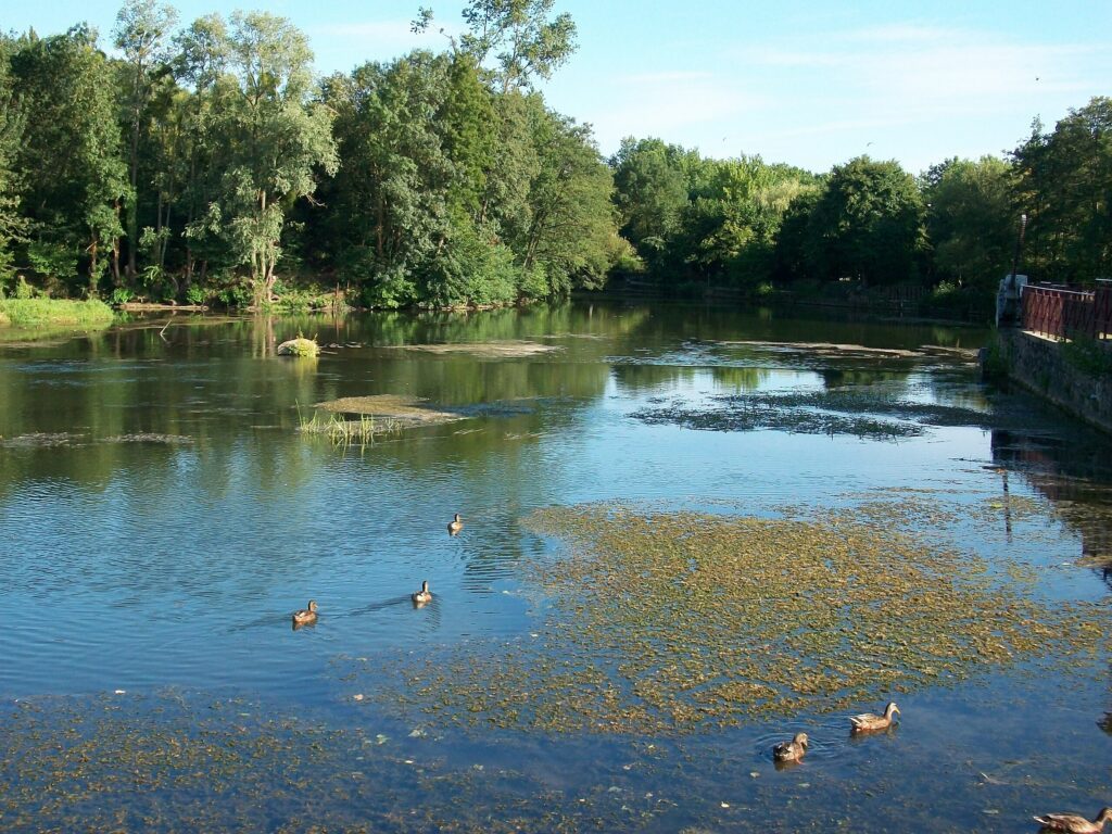 L'Arche de la nature à faire dans la ville du Mans