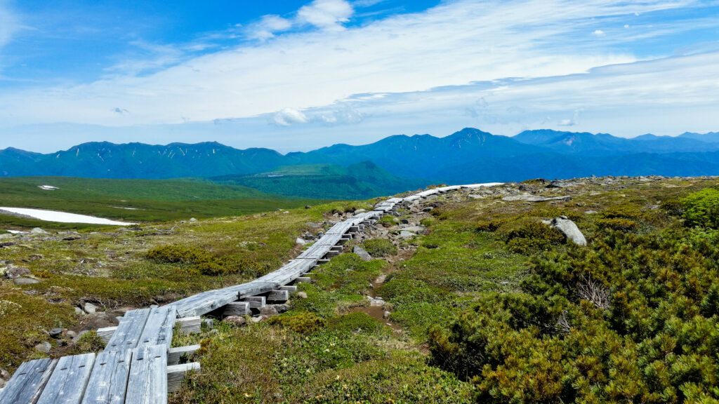 a wooden path in Daisetsuzan National Park, Hokkaido, Japan