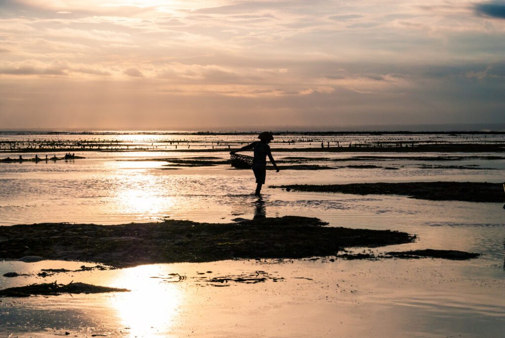 Evening Work
A seaweed farmer working late in the afternoon on the island of Nusa Lembongan, Bali, Indonesia.