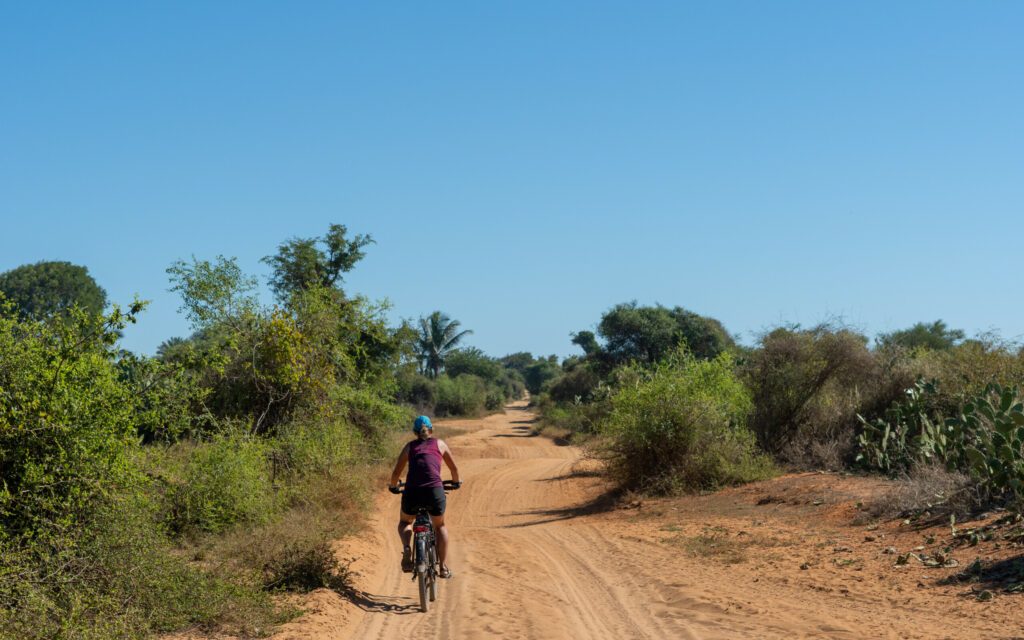 Fitsitika, Madagascar - 12 juni 2019