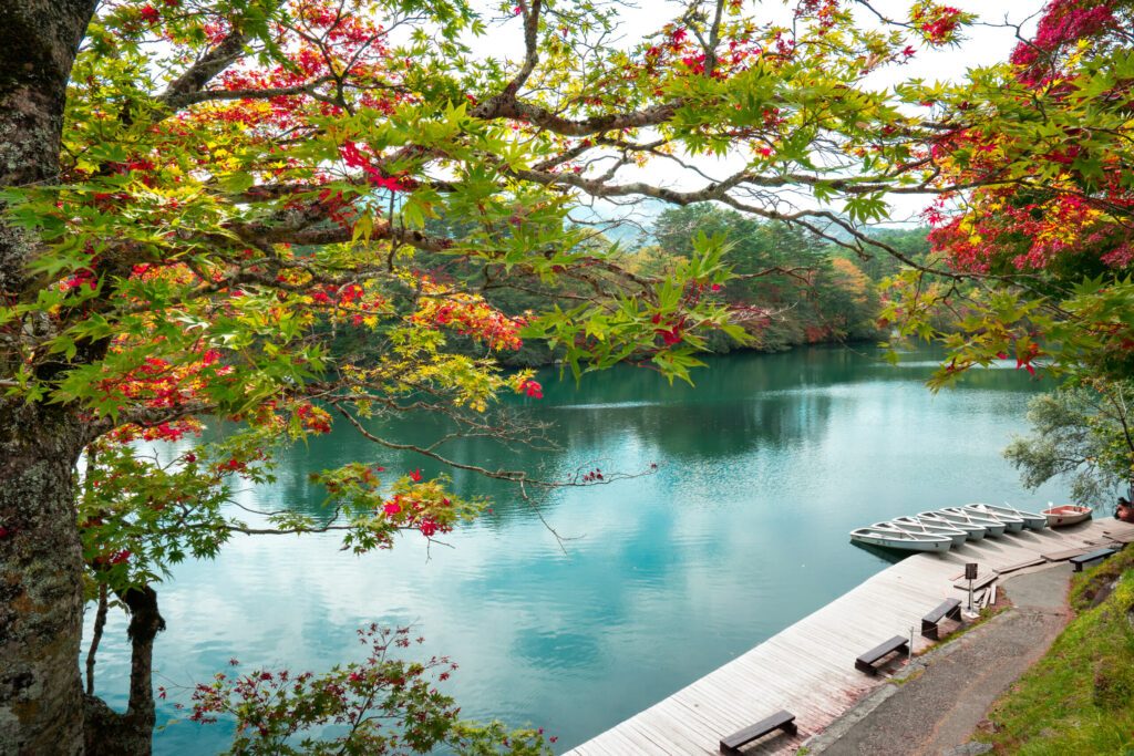 Red leaf and beautiful water in Goshiki-Numa pond, Fukushima, Japan