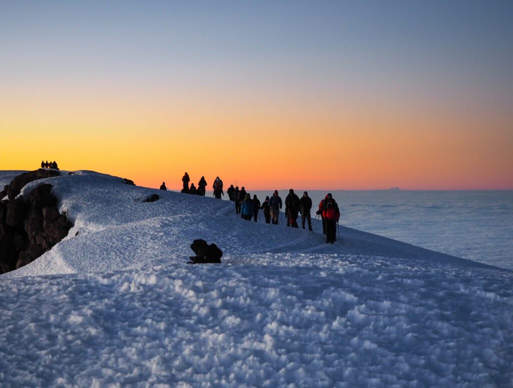 hikers on the ridge ascend mount kilimanjaro the tallest peak in africa.